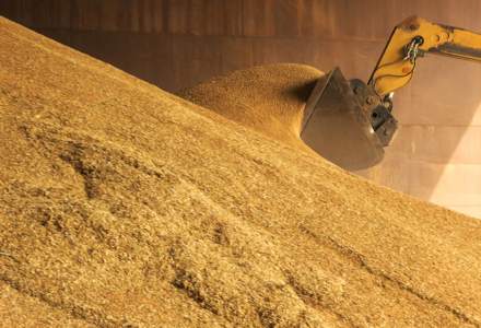 Guvernul ucrainean: Rușii au jefuit 400.000 de tone de cereale din teritoriile ocupate