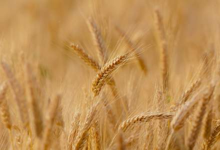 Ucraina a exportat peste un milion de tone de cereale, în aprilie