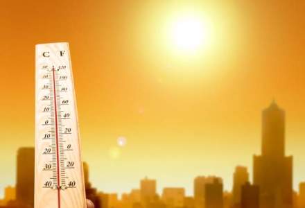 Studiu: 2014 a fost cel mai calduros din ultimii 135 de ani