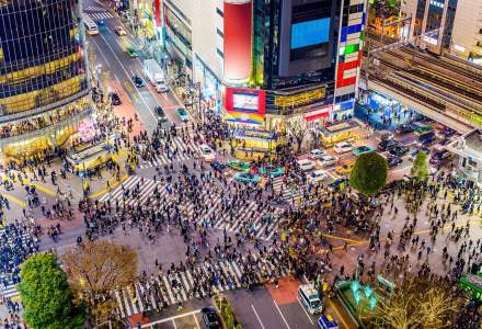 Japonia, afectată de temperaturi record, se teme de o penurie de electricitate