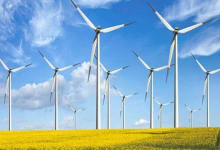 Monsson Group va demonta turbinele unui parc eolian din judetul Constanta