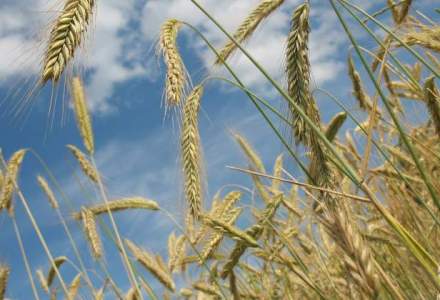 Comisia de agricultura a Camerei il cheama pe ministrul Daniel Constantin la discutii privind seceta