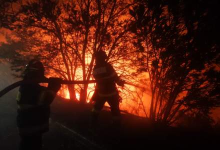 Avertisment MAE: ce zone din Grecia sunt afectate de incendiile de vegetație