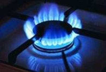 Viitorul proiectului depozitului de gaze Roman-Margineni se va decide in octombrie