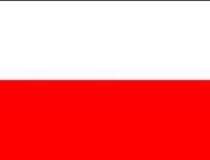 Polonia, in alegeri...