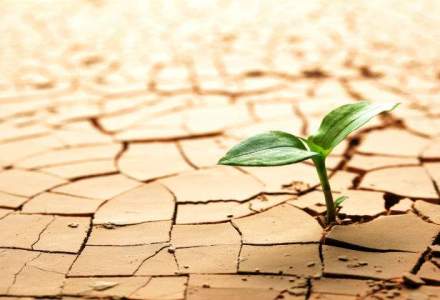 Victor Ponta: Mi-e teama ca seceta si problemele din agricultura vor afecta cresterea economica