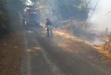 VIDEO | A avut loc prima misiune a pompierilor români în Franța