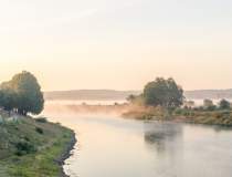 Poluare masivă pe râul Oder,...