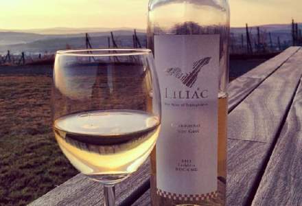 Producatorul vinurilor Liliac si-a dublat cifra de afaceri in primul semestru si a lansat o noua colectie de vinuri