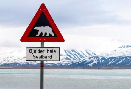 Norvegia ar putea sa trimita refugiatii care intra in tara catre insulele din Svalbard, unde sunt mai multi ursi polari decat oameni