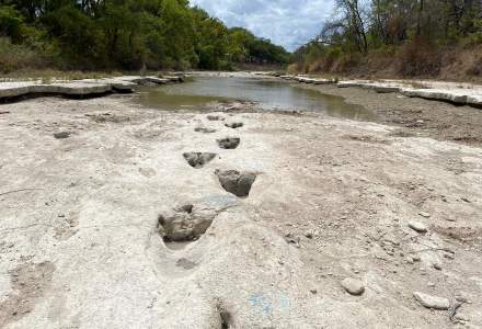 Urme de dinozauri, descoperite în albia unui râu care a secat din cauza temperaturilor extreme