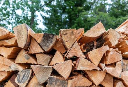 Ministrul Mediului vrea să ofere un ajutor de 150 de lei/metru cub de lemne de foc