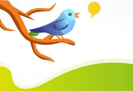 Raport: Twitter ar putea extinde limita de 140 de caractere
