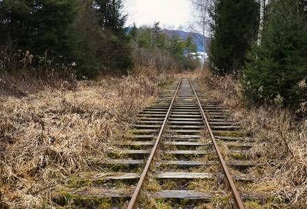 Controale pe căile ferate din țară: câte kilograme de fier au recuperat polițiștii