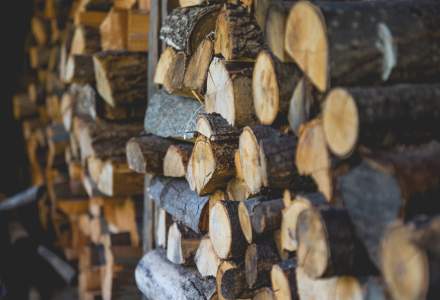 Ministerul Mediului vrea plafonarea prețului lemnului utilizat pentru încălzire