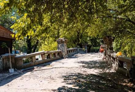 Horia Constantinescu, ANPC: 90% dintre parcurile din Capitală sunt ca parcul Cișmigiu. Curse cu peripeții