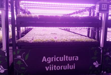 Kaufland și producătorul de microplante Ultragreens au inaugurat prima seră verticală din România