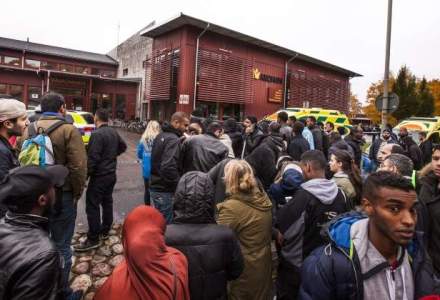 Imigrantii, dezamagiti si "prea speriati" sa traiasca in padurile din Suedia