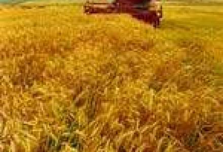SUA vor inlocui Rusia pe piata mondiala a cerealelor, in perioada embargoului-oficial rus
