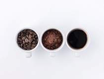 Cât rezistă boabele de cafea?...