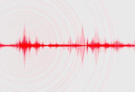 Cum funcționează sistemul de alertă Google pentru cutremure, care ar face diferența între viață și moarte în cazul unui cutremur major