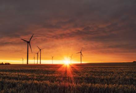 EY: Crizele globale au accelerat proiectele în domeniul energiilor regenerabile