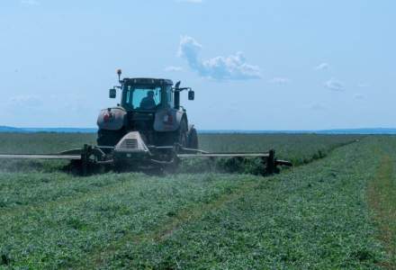 UE aprobă despăgubiri de 75 de mil. de euro pentru producătorii agricoli din România