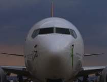 Boeing 737 MAX, ”avionul...