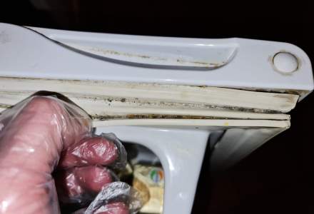 FOTO: Nereguli dezgustătoare, descoperite la un after-school din Capitală de către inspectorii ANPC