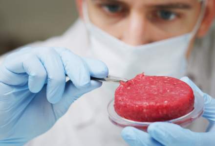 Rabinul-şef al Israelului permite consumul de carne „cultivată” din celule de vacă