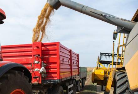 Miniștrii agriculturii din CEE au cerut stabilizarea situației importului de cereale