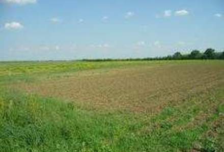 Ce terenuri se mai cauta in Bucuresti: Suprafete mici, in zonele Baneasa sau 1 Mai