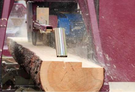 Romsilva:Am respectat Regulamentul de vanzare a lemnului, am semnalat ca e confuz si greu de aplicat