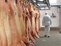 Producția de carne de porc a...