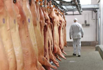 Producția de carne de porc a scăzut anul trecut cu aproape 11%. Am compensat în schimb la carnea de pasăre