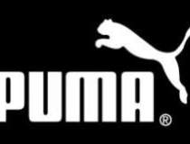Veniturile Puma scad cu 115...