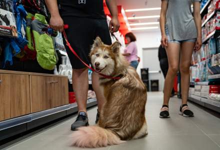 Maxi Pet deschide primul magazin la Târgu Mureș. Investiția depășește 200.000 euro