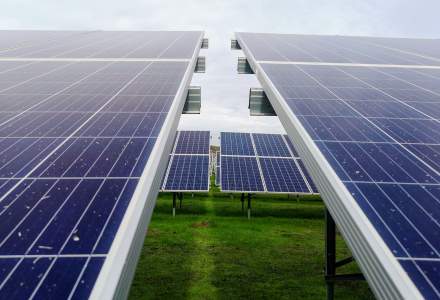Companiile din regenerabile acuză statul că pune piedici investițiilor în energie