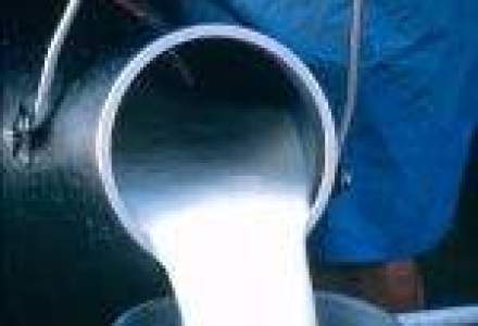 Seful Albalact: Pretul laptelui va creste cu 5-7% pana la sfarsitul anului