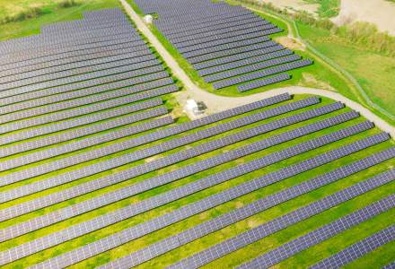 Câtă energie solară ar putea avea România până în 2030? Mirel Jarnea, LONGi: E euforie în piață, sper să ajungem la 1 GW nou pe an
