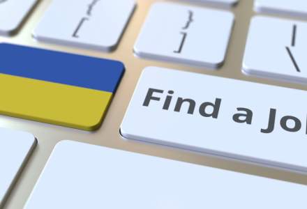 Ucraineni pe piața internațională a muncii: câți utilizatori activi are platforma Jobs for Ukraine la un an de la lansare