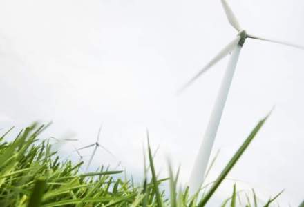 BERD: O curatare a pietei de energie verde ar fi benefica