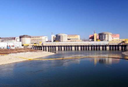 Lulache, Nuclearelectrica: Putem sa ne gestionam problemele. Am investit zeci de milioane euro in teste