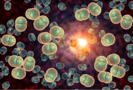 Cauza imbolnavirii copiilor din Arges este o tulpina de E-coli "mult mai agresiva", conform ministrului Sanatatii