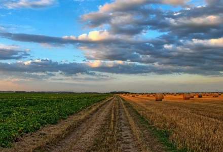 Hugh Beirne, Avalon Comp: Investitorii din agribusiness vor continua sa vina in Romania