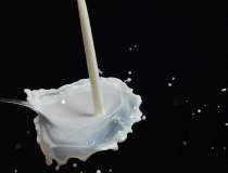 Productia interna de lapte in...
