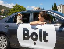Noutăți Bolt: categoria Pet...