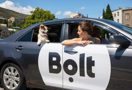 Noutăți Bolt: categoria Pet îți permite să mergi alături de animalul de companie