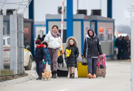 Reguli mai stricte pentru refugiații ucraineni care intră în România cu animale de companie, de la 1 mai