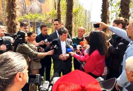 VIDEO | Scandalul palmierilor din Capitală: Nicușor Dan: Îi scoatem și-i ducem domnului Negoiță